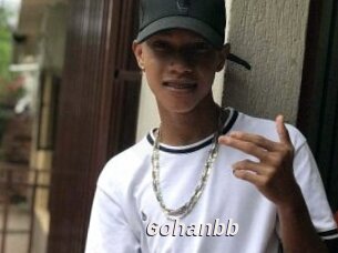 Gohanbb