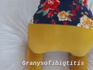 Granysofibigtitis