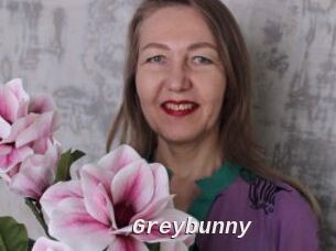 Greybunny