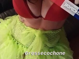 Grossecochone