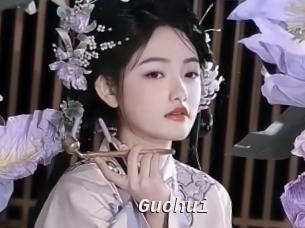 Guohui
