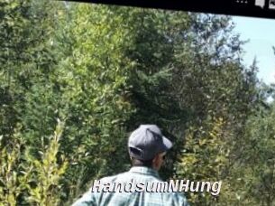 HandsumNHung