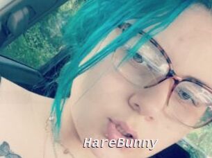 HareBunny