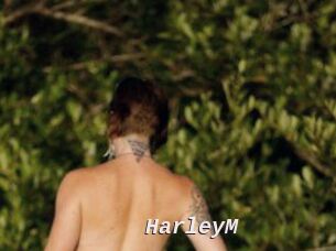 HarleyM