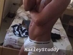 HarleyStuddy