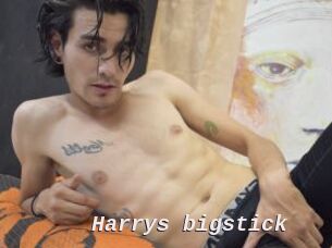 Harrys_bigstick