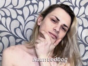 HauntedDog Live Camgirls Sex