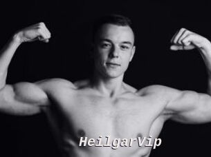 HeilgarVip