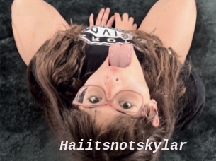 Haiitsnotskylar