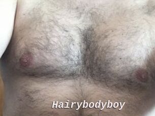 Hairybodyboy