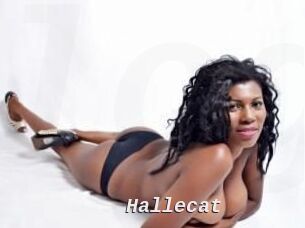 Hallecat