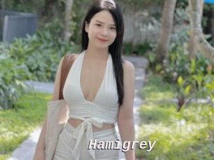 Hamigrey