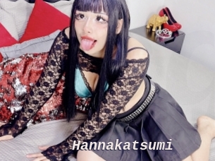 Hannakatsumi