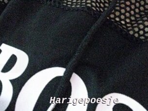 Harigepoesje