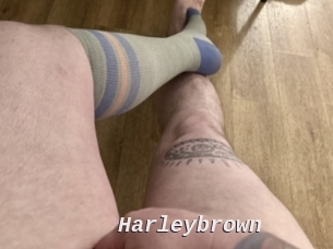 Harleybrown