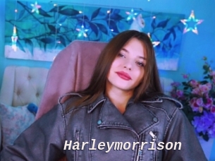 Harleymorrison