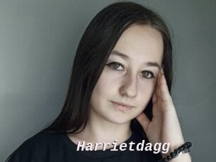 Harrietdagg