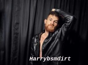 Harrybsmdirt