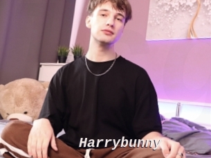 Harrybunny