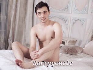 Harrygentle