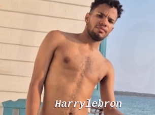 Harrylebron