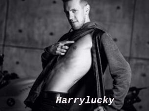 Harrylucky