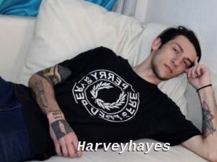 Harveyhayes