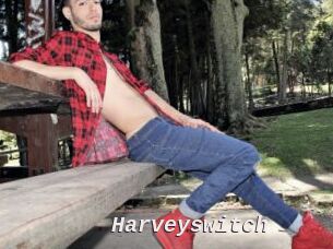 Harveyswitch