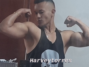 Harveytorres