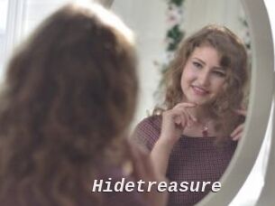 Hidetreasure