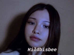 Hildbisbee