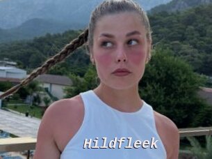 Hildfleek