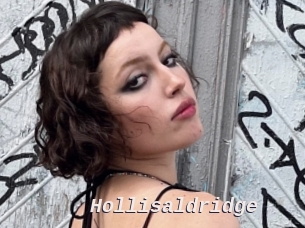 Hollisaldridge