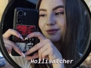 Hollisatcher