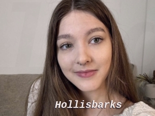 Hollisbarks