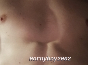 Hornyboy2002