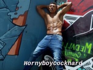 Hornyboycockhard