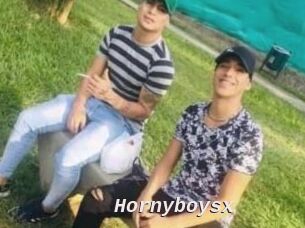 hornyboysx Live Camgirls Sex