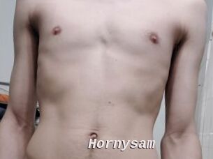 Hornysam