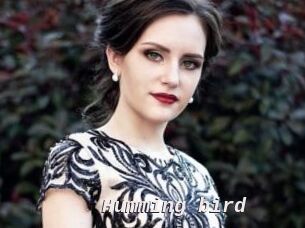 Humming_bird