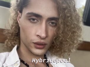 Hybridepool