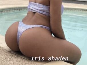 Iris_Shaden
