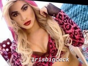 Irisbigcock