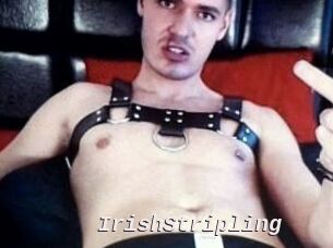 IrishStripling