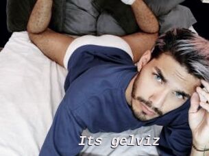Its_gelviz