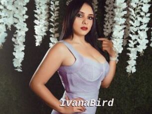 IvanaBird