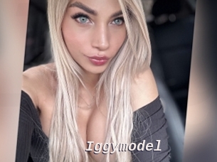 Iggymodel