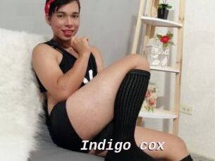 Indigo_cox