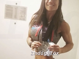 Indigofox