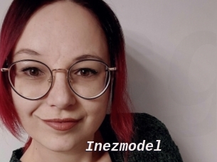 Inezmodel